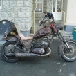 veter�n